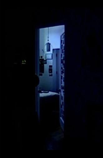 memory consolidation 02 (2025)