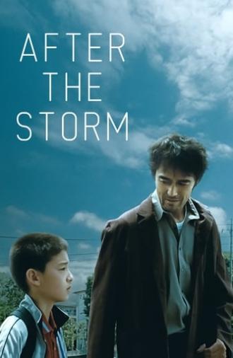 After the Storm (2016)