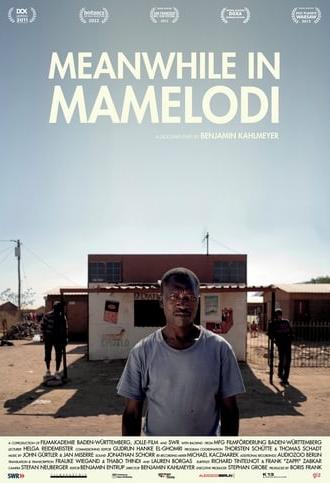 Meanwhile in Mamelodi (2011)