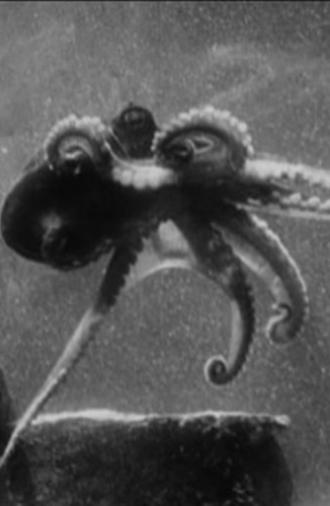 Fathoms Deep Beneath the Sea (1922)