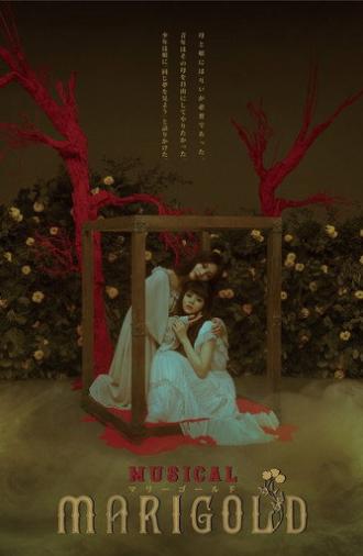 Musical - MARIGOLD- (2018)