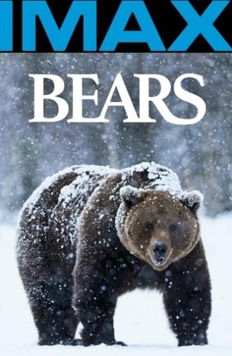 Bears (2004)