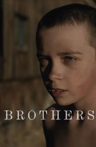 Brothers (2015)
