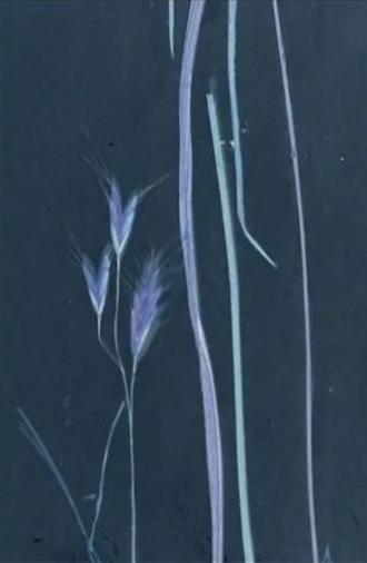 I follow rivers (2017)