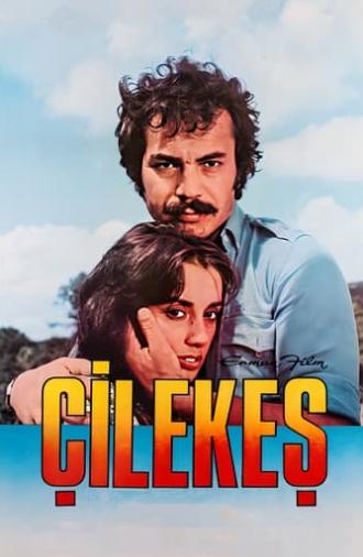 Çilekeş (1978)