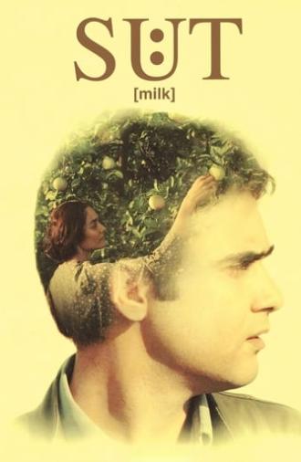 Milk (2008)