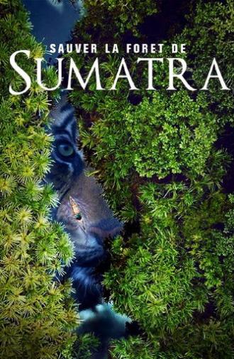 Save the Sumatran Forest (2019)