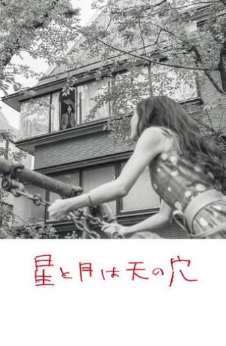 The Stars and the Moon are Holes in the Sky (2025)