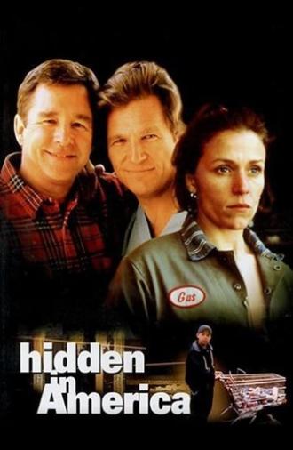 Hidden in America (1996)