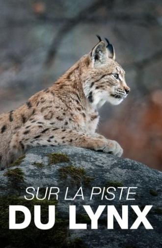 Sur la piste du lynx (2023)