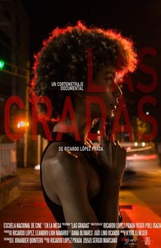 Las Gradas (2023)