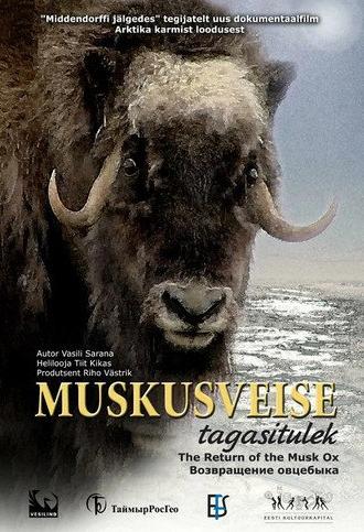 The Return of the Musk Ox (2008)