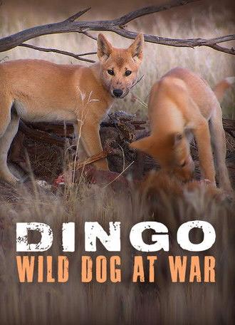 Dingo: Wild Dog at War (2013)