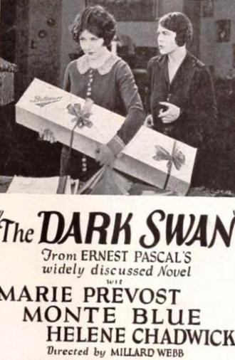 The Dark Swan (1924)
