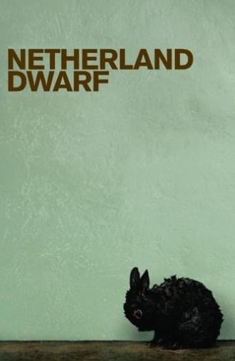 Netherland Dwarf (2008)