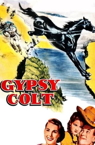 Gypsy Colt (1954)