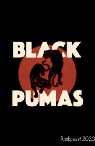 Black Pumas - Rockpalast (2020)