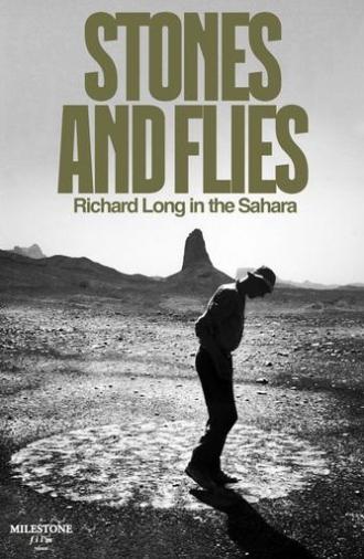 Stones and Flies: Richard Long in the Sahara (1988)