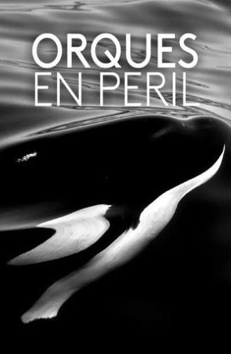 Orques en péril (2020)