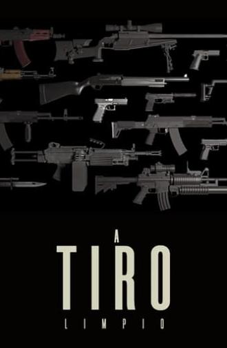 A tiro limpio (2013)