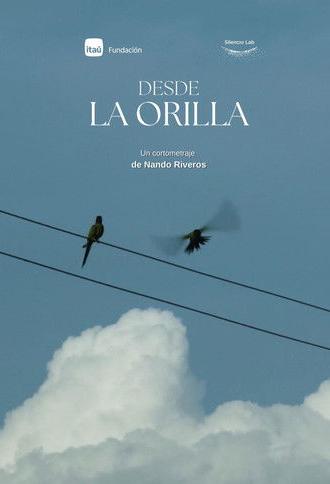 From the shore (2025)