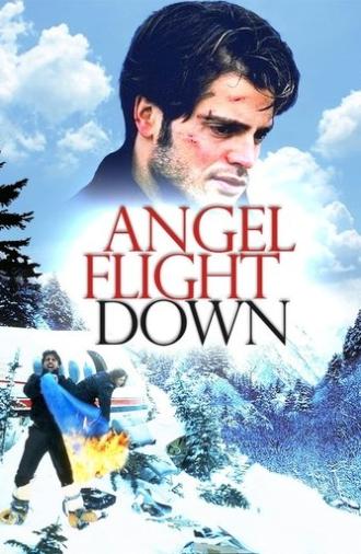 Angel Flight Down (1996)