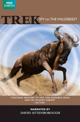 Trek - Spy on the Wildebeest (2007)