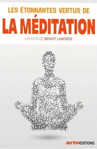 Les étonnantes vertus de la méditation (2017)