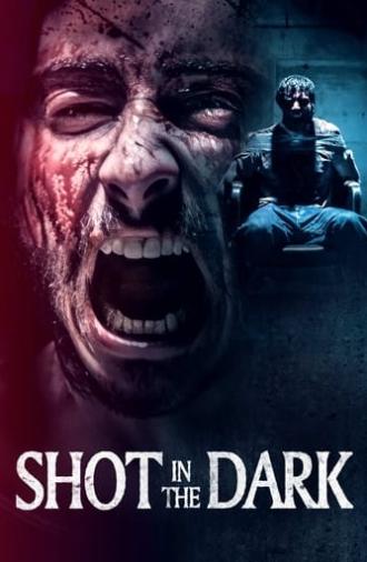 Shot in the Dark (2021)