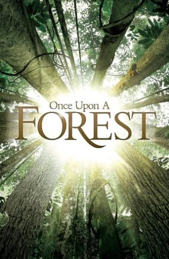 Once Upon a Forest (2013)