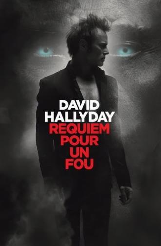 David Hallyday, requiem pour un fou (2025)