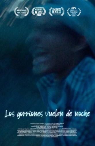 Los gorriones vuelan de noche (2025)