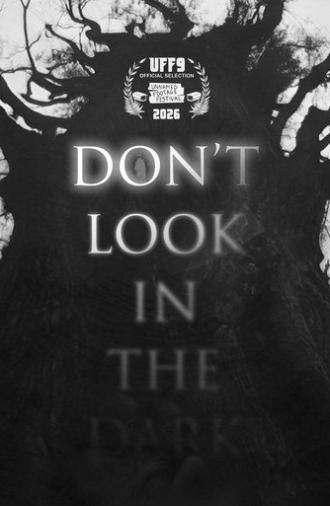 Don't Look in the Dark (2025)