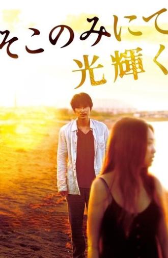 The Light Shines Only There (2014)