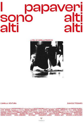 I Papaveri Sono Alti Alti Alti (2024)