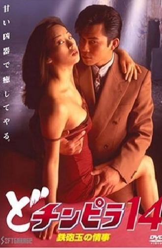Dochinpira 14: A Hitman's Affair (1995)