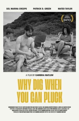 Why Dig When You Can Pluck (2024)