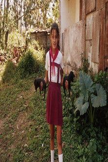 True Love in Pueblo Textil (2017)