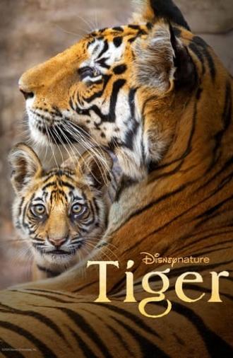 Tiger (2024)