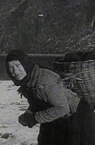 A Crofter's Life in the Shetlands (1931)