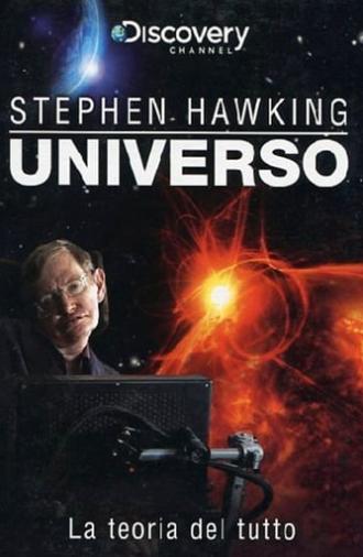 Stephen Hawking and The Theory of Everything (2009)