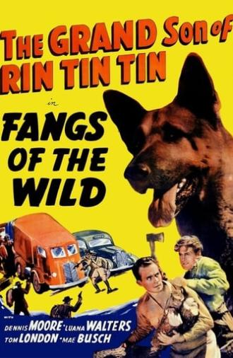 Fangs of the Wild (1939)