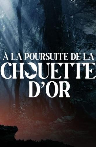 A la poursuite de la chouette d'or (2024)