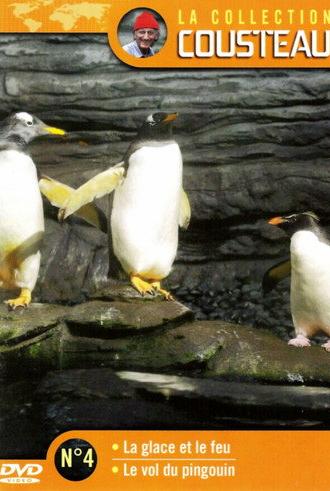 The Cousteau Collection N°4-2 | The Flight of the Penguin (1974)