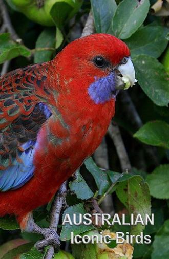 Australian Iconic Birds (2021)