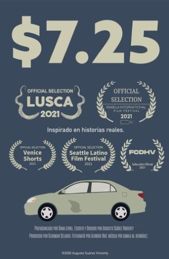 $7.25 (2024)