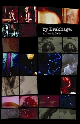 By Brakhage: An Anthology, Volume One (2003)