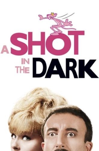 A Shot in the Dark (1964)