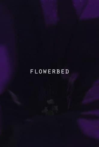 Flower Bed (2017)