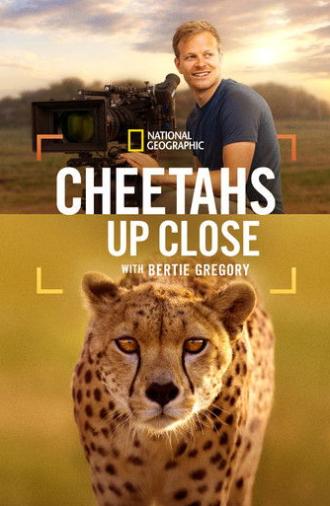 Cheetahs Up Close with Bertie Gregory (2026)